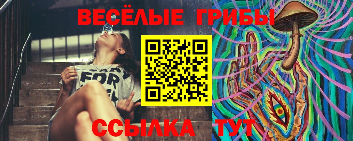 Галлюциногенные грибы MAGIC MUSHROOMS Вятские Поляны