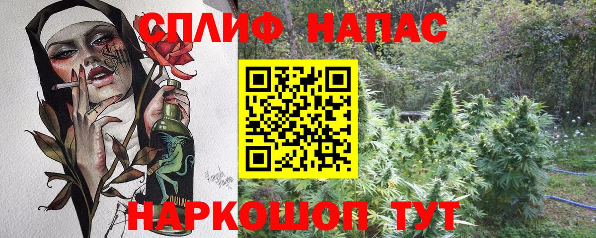 Бошки марихуана индика  Конопля ГИДРОПОН  Вятские Поляны  Вход с VPN  Каннабис сатива 